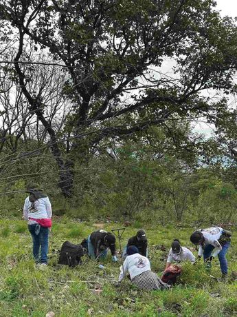Integrantes del Colectivo de Guerreros Buscadores analizan terreno en Jalisco. | Fb: Guerreros Buscadores De Jalisco
