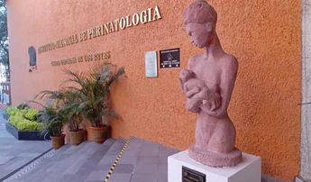 Instituto Nacional de Perinatología