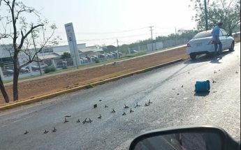 Caen ponchallantas de patrulla y afectan autos en Tamaulipas / Cortesía