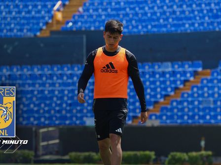 Entérate de las últimas noticias de Tigres HOY 19 de mayo. / Especial