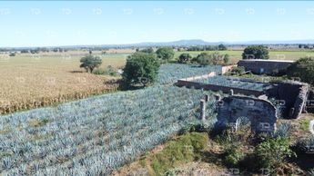 A los agricultores les preocupa perder los caminos que hoy utilizan para desplazarse y llegar a sus parcelas.