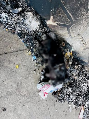 Vecinos de la zona fueron quienes hallaron al can en una zona que es señalada como un foco rojo / Especial