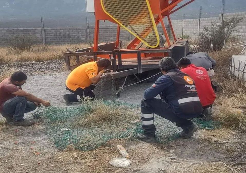 Rescatan a oso malherido en un rancho de Mina, NL