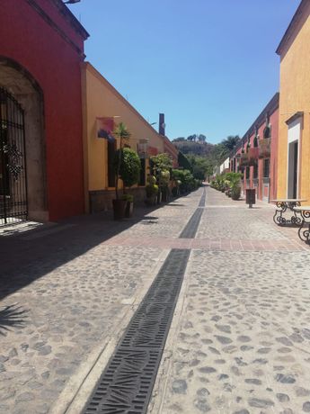 Reportan pérdidas por baja de turistas en Tequila ante contingencia