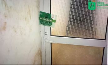 La Secretaría del Medio Ambiente exhortó a denunciar criaderos ilegales. | Cortesía