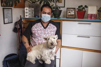 Alfredo Rodríguez Vázquez, médico veterinario de Happy Can Camp