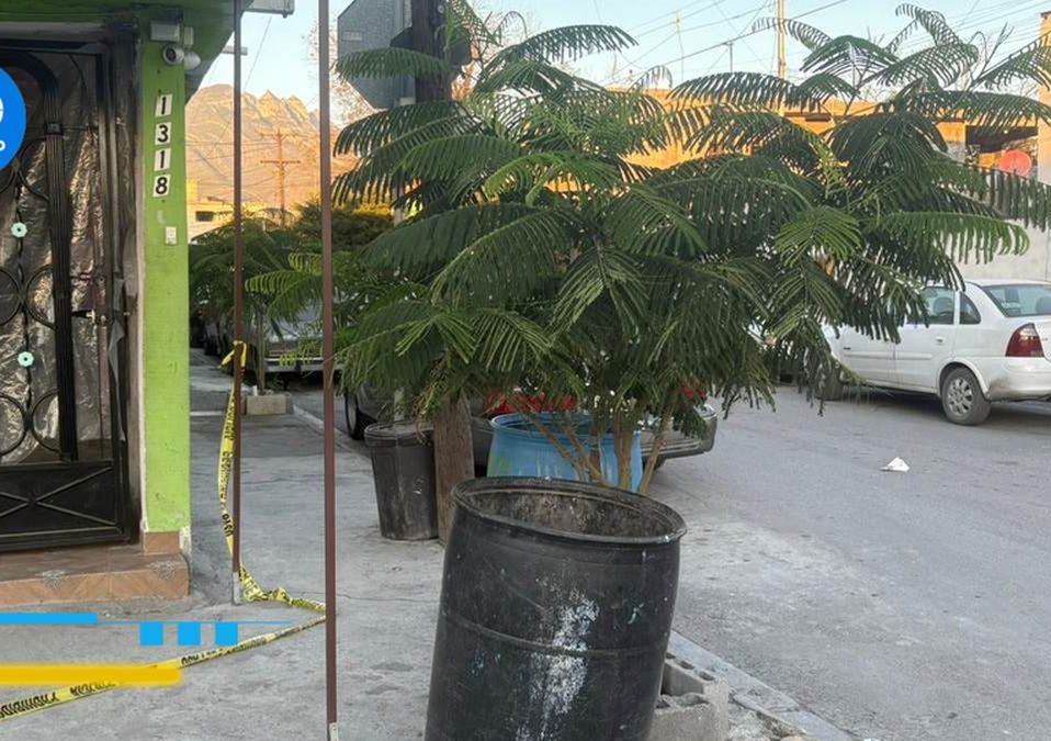 El hecho ocurrió las primeras horas de este lunes sobre la calle Pedro Celestino Negrete. | Especial