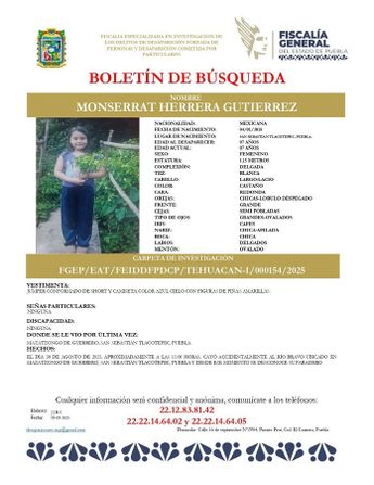 Ficha de búsqueda de la pequeña Monserrat H. en Puebla / Especial