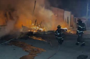 Durante las labores, elementos de la policía municipal rescataron a varios perros