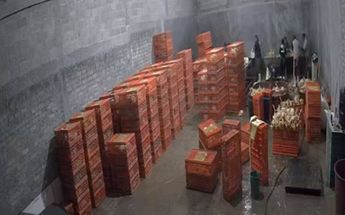 Bodega de pollos contaminados con sustancias cancerígenas son detectadas en Toluca por la Fiscalía del estado Mario C. Rodríguez
