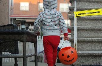 ¡Atención! Conoce las recomendaciones del IMSS para pedir dulces de manera segura este Halloween