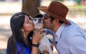 David y Tesa adoptaron a Zafiro que fue recatada de la laguna de Chapulco / Andrés Lobato