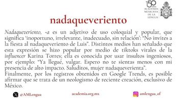 Así definió la Academia Mexicana de la Lengua a la nueva palabra "Nadaqueveriento" / AML