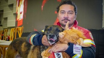 "Rex" y su manejador Daniel Hernández participaron en la misión humanitaria internacional en Turquía, tras los sismos de 2023 | Cruz Roja Mexicana