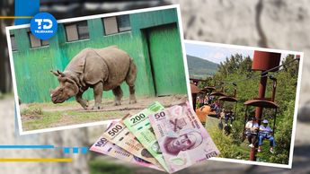 Zoológico de Guadalajara, costos de los boletos / Especial