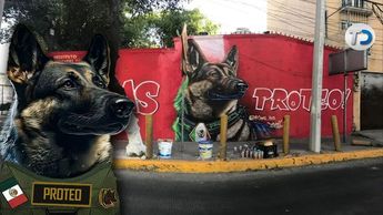 Pintan mural de Proteo en Tlalnepantla, lomito rescatista que murió en Turquía