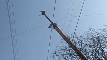 Panal de abejas en lo alto de un poste junto a una escuela primaria y una oficina de Correos de México. | Cortesía