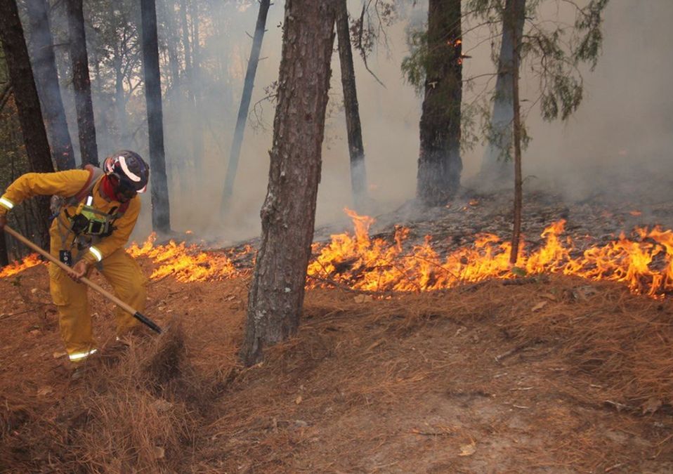 incendio forestal en Santiago, NL. / Especial