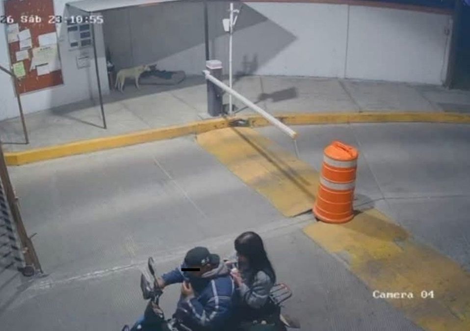 Las grabaciones del último paradero de Ana Karen muestran que el operador no portaba casco de seguridad ni proporcionó uno. / Abadiel Martínez