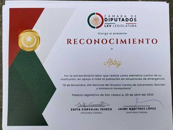 Diploma de Abi, perrito rescatista de Protección Civil. | Cortesía