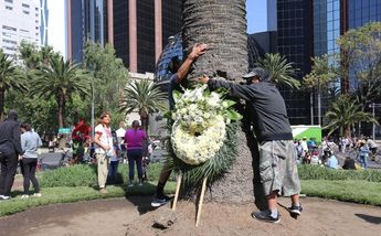 En forma de despedida, capitalinos abrazan a palmera de glorieta en Paseo de la Reforma / Javier Ríos