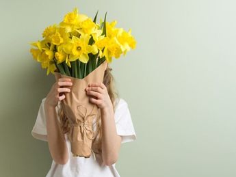 Flores amarillas | Telediario