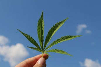 Maryland y Missouri aprobaron el consumo recreativo de marihuana/ Pixabay