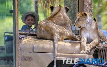 Experiencias en Africam / Andrés Lobato