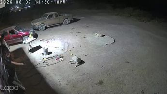 Matamoros: Joven muere durante ataque armado y cinco quedan heridos