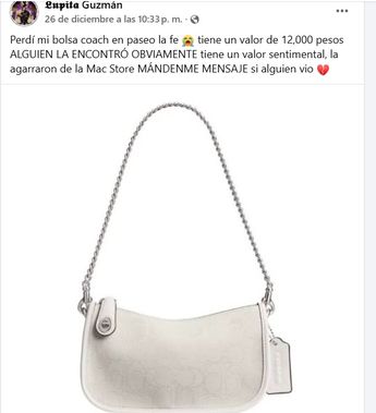 La influencer reveló que la bolsa tiene un costo de 12 mil pesos. | Especial