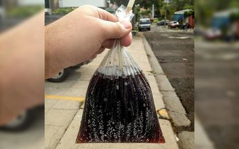 Coca en bolsa con popote | Especial