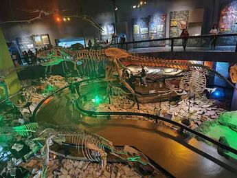 El área interactiva del Museo del Desierto en Saltillo, con dinosaurios robotizados, es la Zona Dinos.