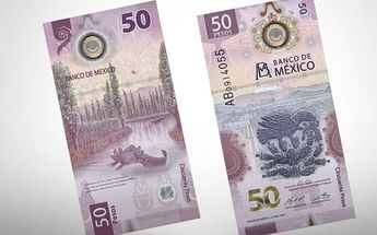 El billete de 50 pesos mexicanos con un ajolote se ha vuelto de los más coleccionables | Especial