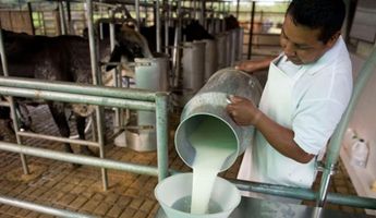 El Día Mundial de la Leche se celebra el primero de junio. | Especial