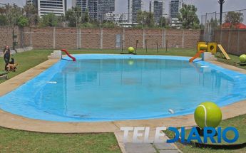 AcuatiKan, parque acuático para perros en Puebla / Melanie Torres