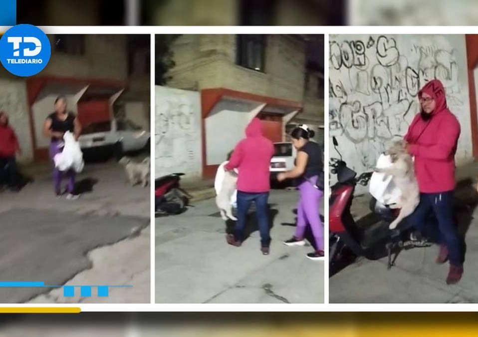 Una vecina de Ixtapaluca grabó el momento en que el perro Suadero fue secuestrado./Captura de pantalla.