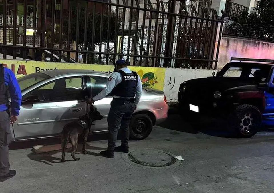 Aseguran vehículos con droga, armas largas y dinero en Monterrey