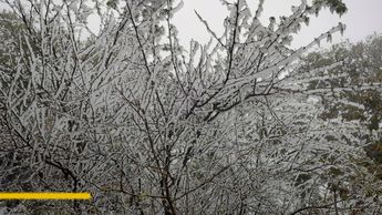 Hielo en Montemorelos, Nuevo León