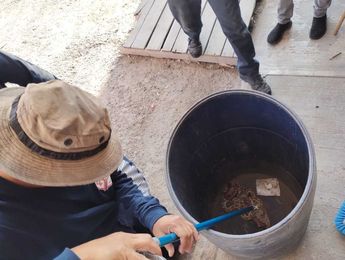 El rescate se ejecutó bajo estrictos protocolos de manejo de fauna silvestre