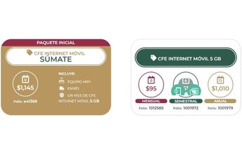 Internet CFE 95 pesos