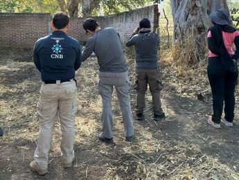 Crisis en la búsqueda de desaparecidos: 104 despidos en CNB. | Especial