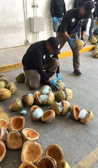 Cocos con fentanilo. | Especial