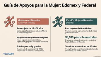 Mujeres Bienestar y Pensión Mujeres Bienestar son programas distintos. | Gemini Notebook