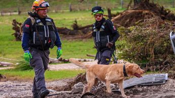 Los elementos de Protección Civil de Nuevo León son apoyados por cuatro perritos rescatistas. | Especial