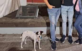 Dui de visita en Jalisco / X @Yijaaaaaaaa