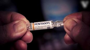 Revelan cifras de detenciones por tráfico de fentanilo a Estados Unidos