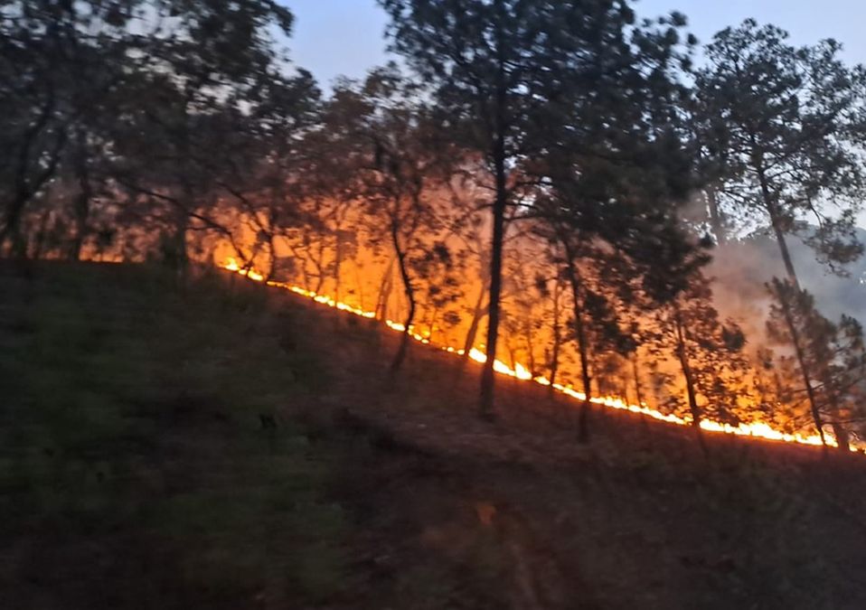Incendio forestal en San Simón de Guerrero | @Probosque_