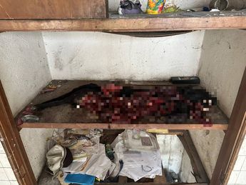 El cuerpo del animal fue resguardado por autoridades | Policía de Tlaquepaque