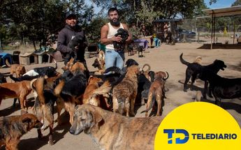 Jesús y su hermano alimentan y cuidan a cada uno de los perritos del albergue / Melanie Torres