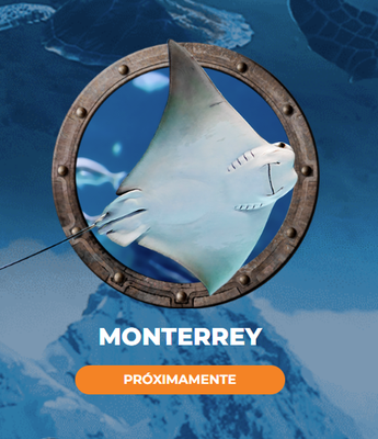 Acuario en Monterrey 2024 | Especial
